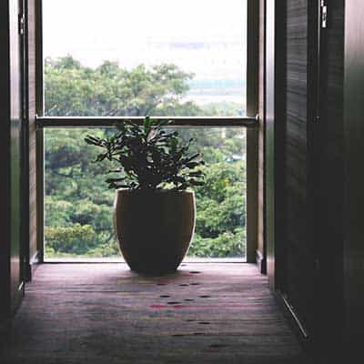 Home slide3 free img.jpg